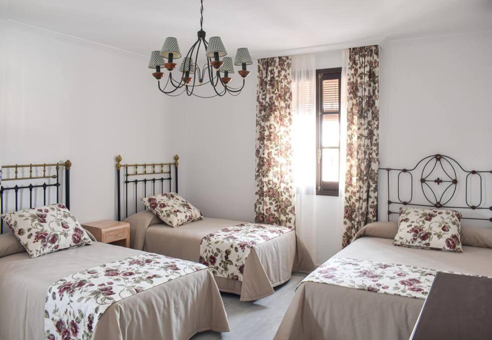 Villa Tela & Vino - Montilla